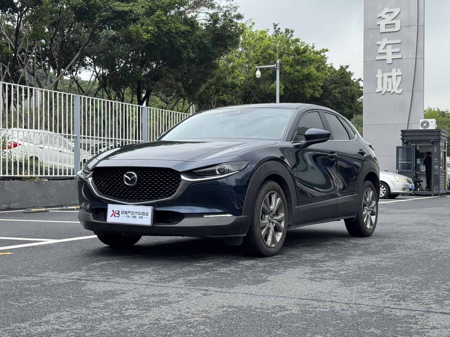 Mazda CX-30 2.0L Auto Elegance Joy 2024