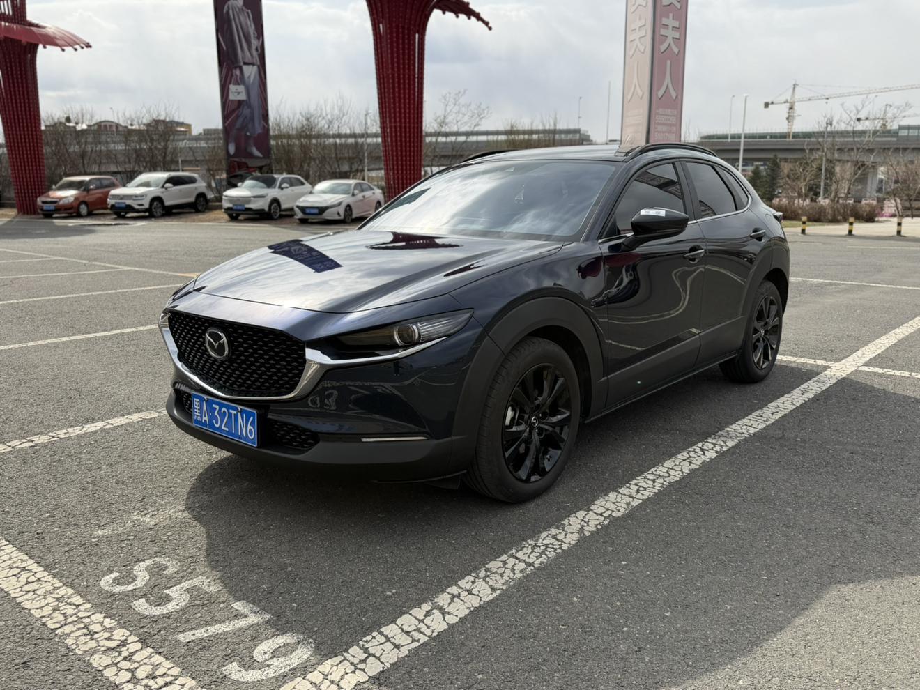 Mazda CX-30 2.0L Auto Elegance Joy 2022