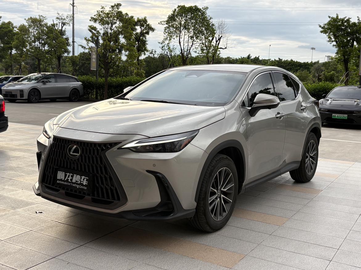Lexus NX200 260 FWD Drive Edition 2024