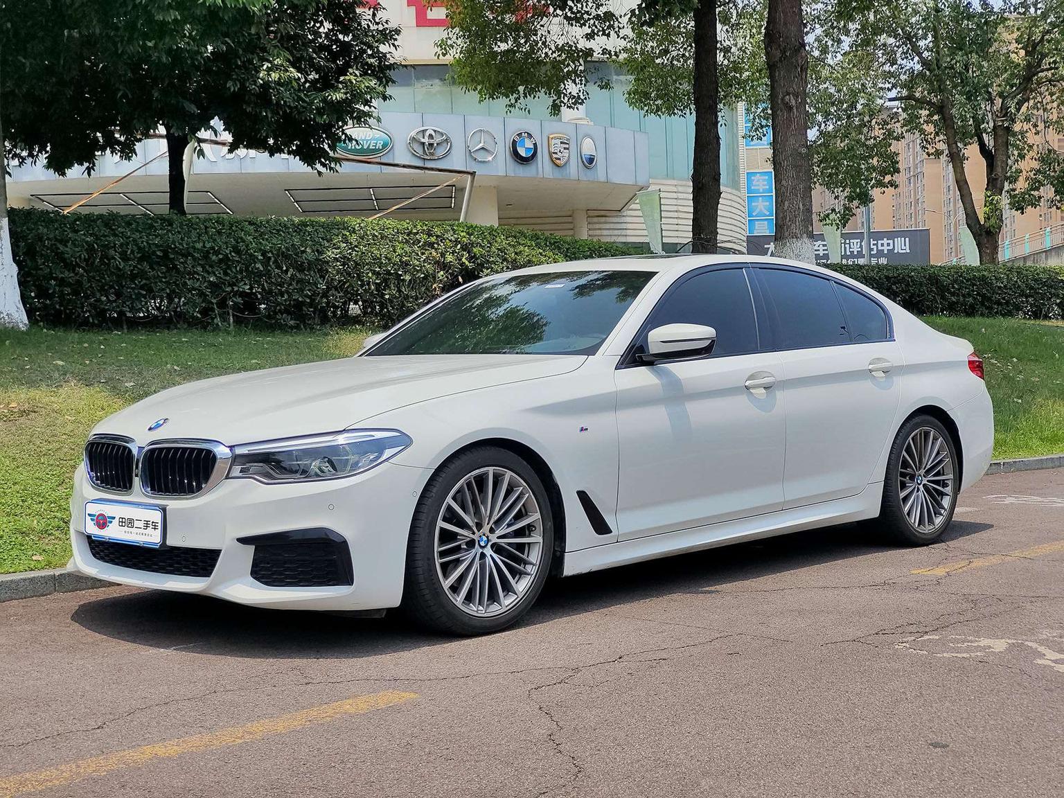 BMW 5 Series M Sport Package (2L) 2019