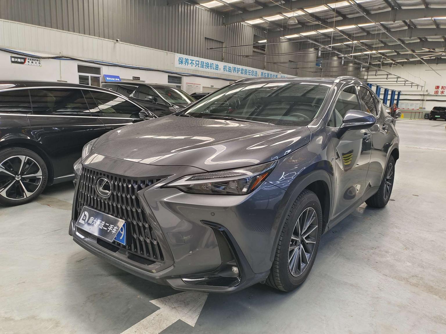 Lexus NX200 Joy Creation Edition FWD 2022