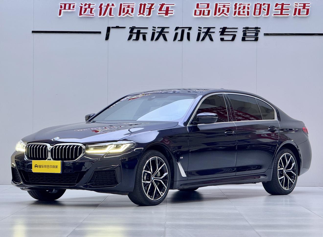 BMW 5 Series Executive M Sport (2L) 2022