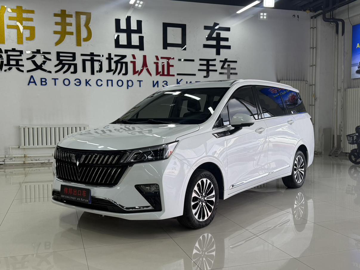 Wuling Jiachen Premium Flagship CVT 2023