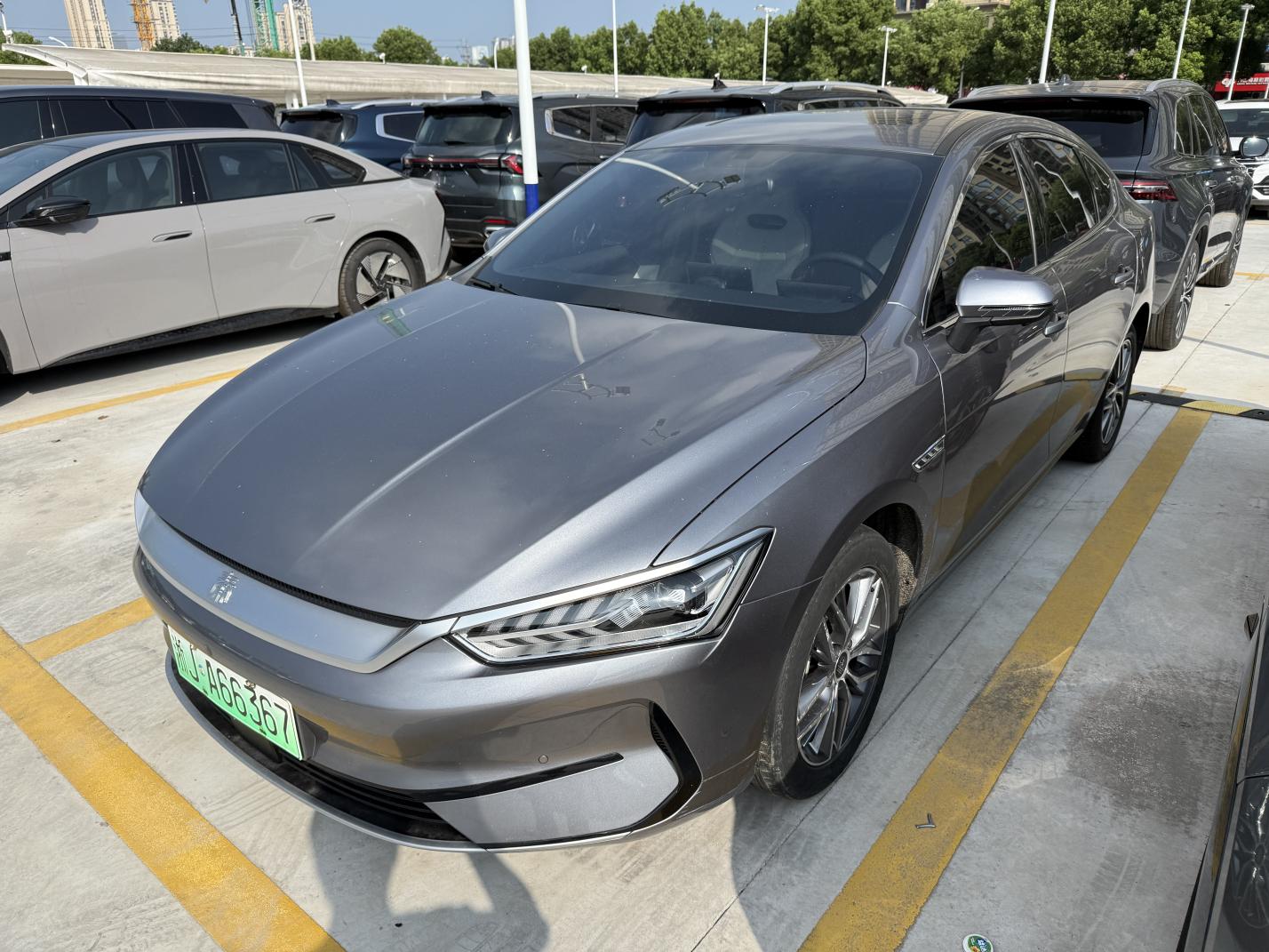 BYD QIN-Plus-EV Champion 510km Surpass 2024