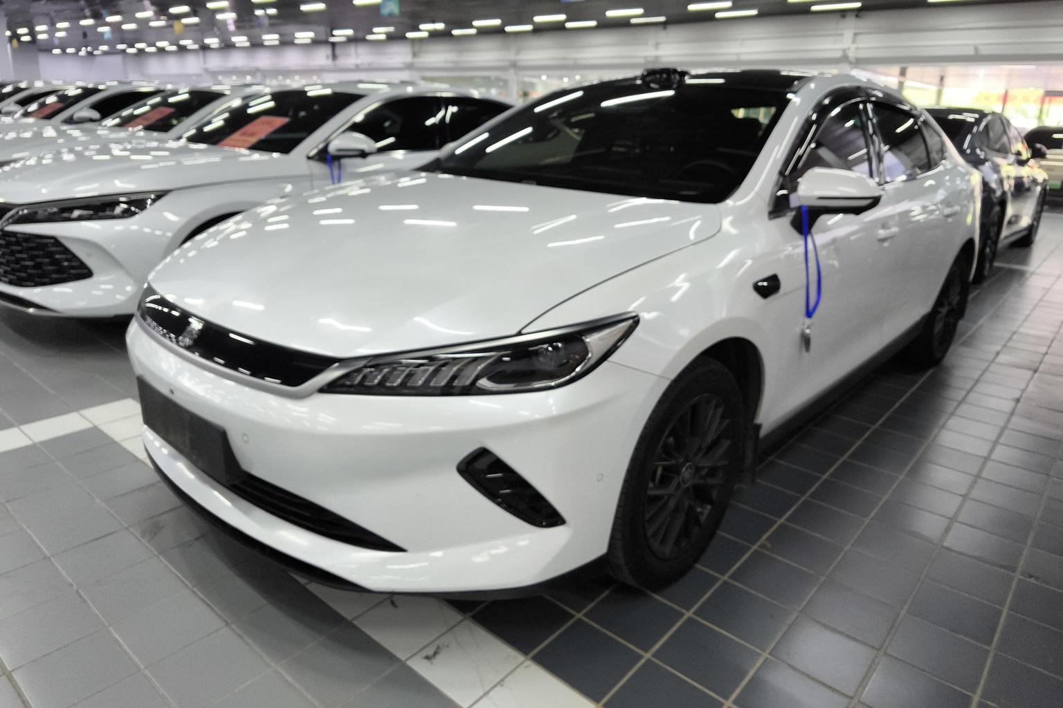 BYD QIN-Plus-EV 510km Intelligent Driving Leading 2025