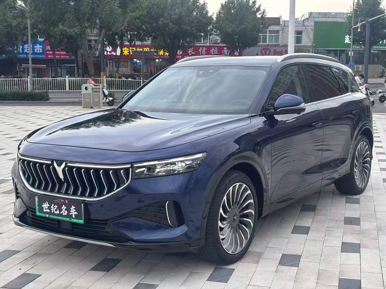Voyah Free AWD Extended Range First Edition 2021