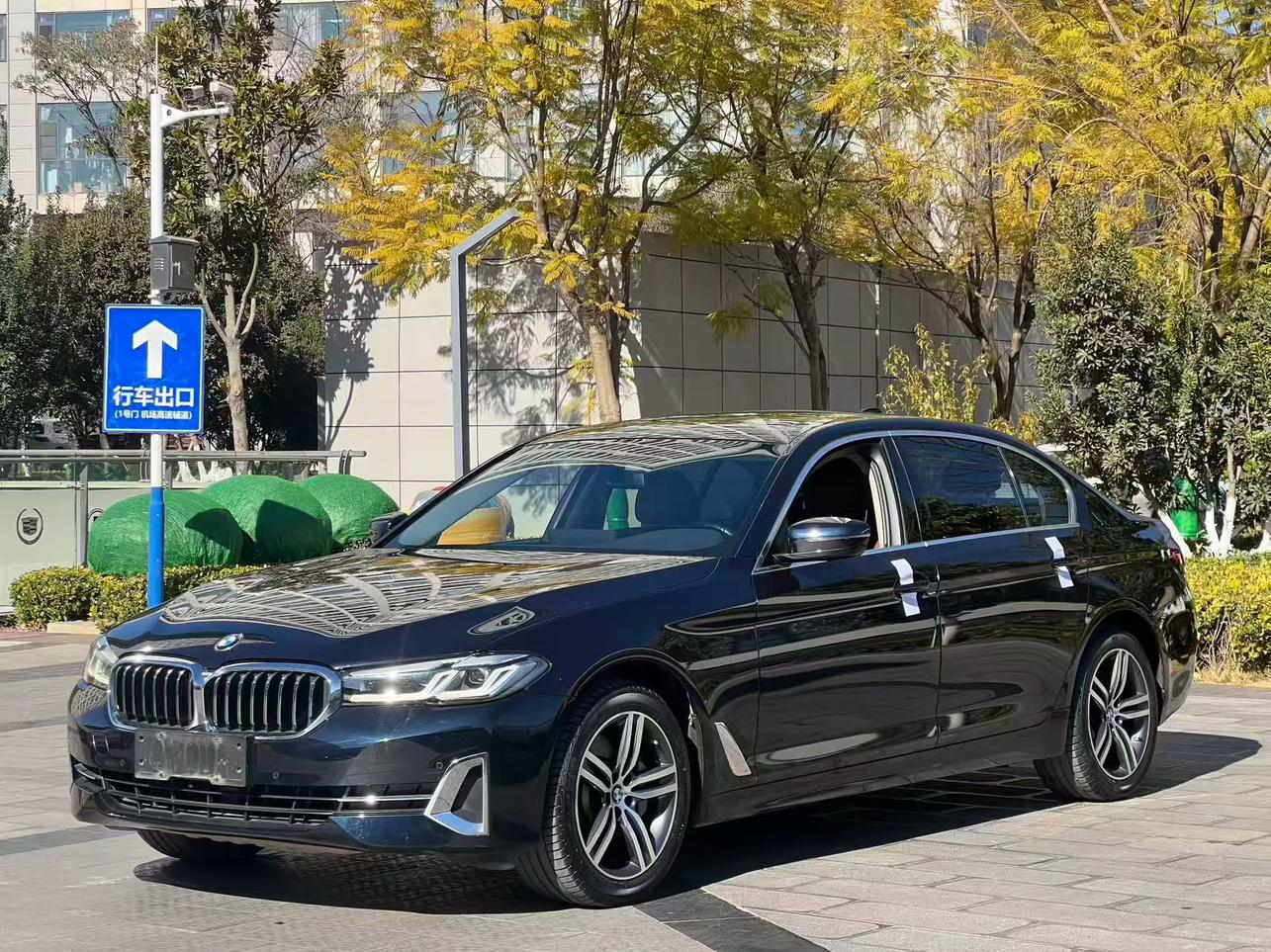 BMW 5 Series 530Li Leading Luxury Package 2022