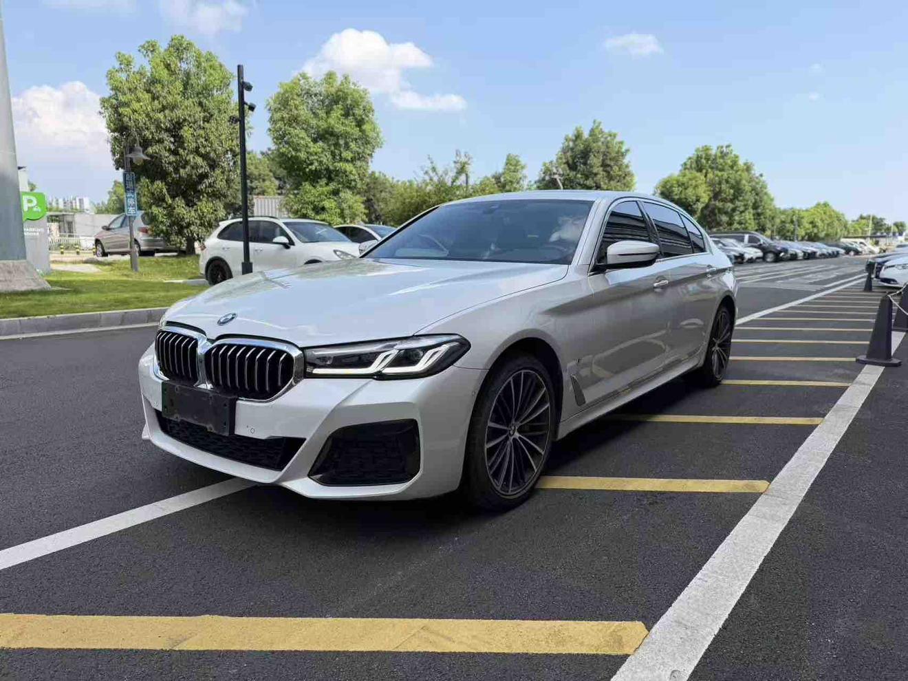 BMW 5 Series Leading M Sport (2L) 2021