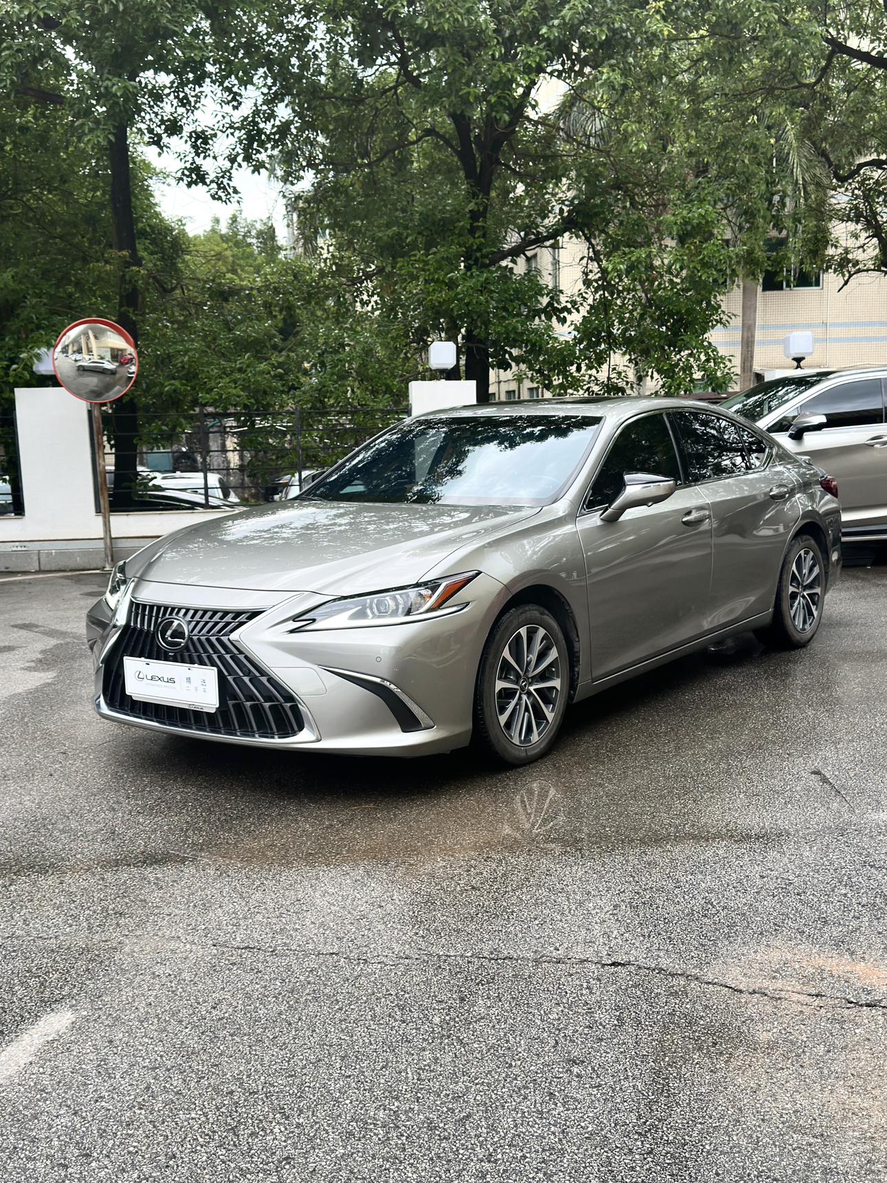 Lexus ES 300h Excellence (2.5L) 2024