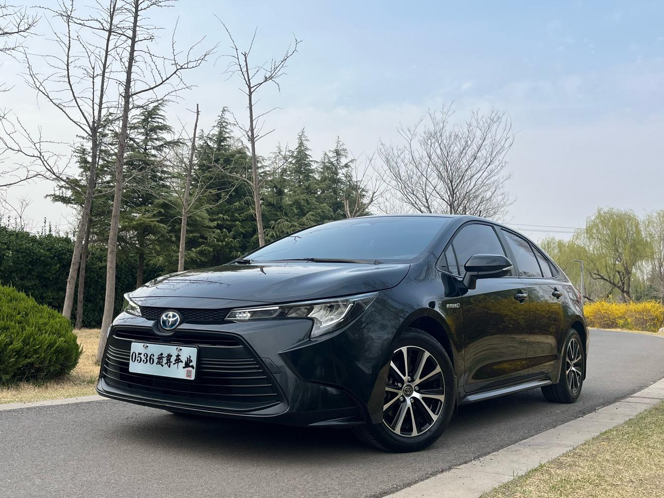Toyota Levin 1.8L Leading 2024