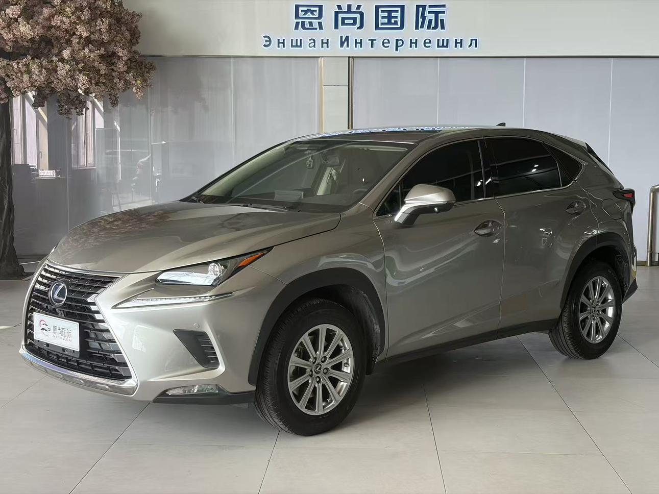 Lexus NX200 FWD Edge CN6 2021