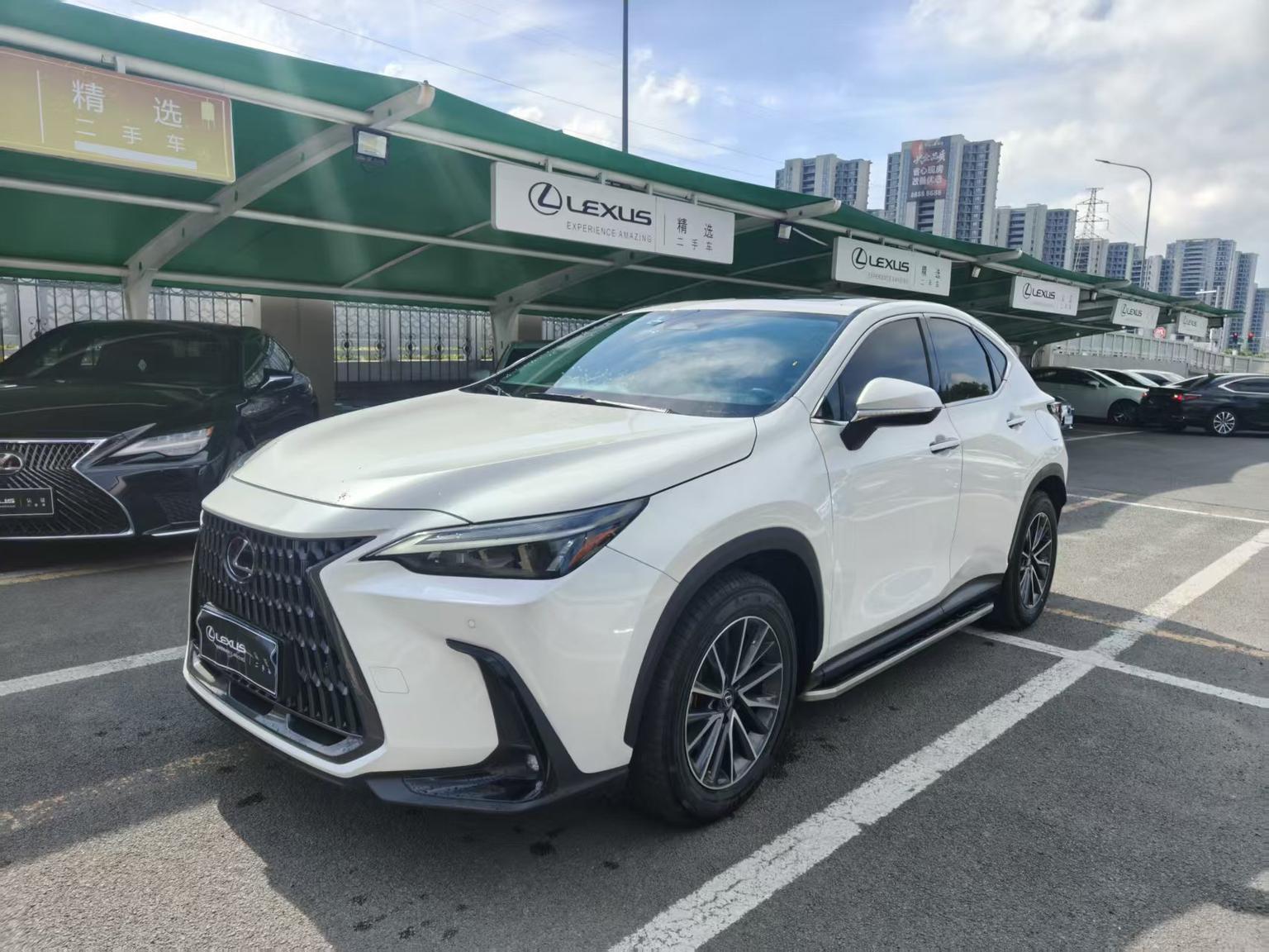 Lexus NX200 Joy Creation Edition FWD 2023