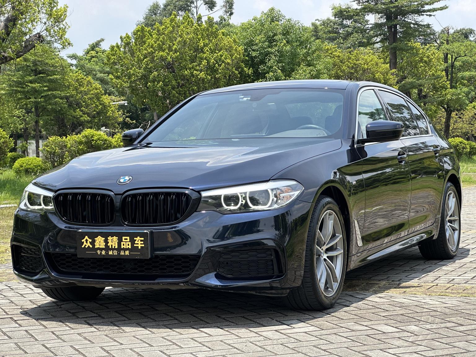 BMW 5 Series M Sport Package (2L) 2020