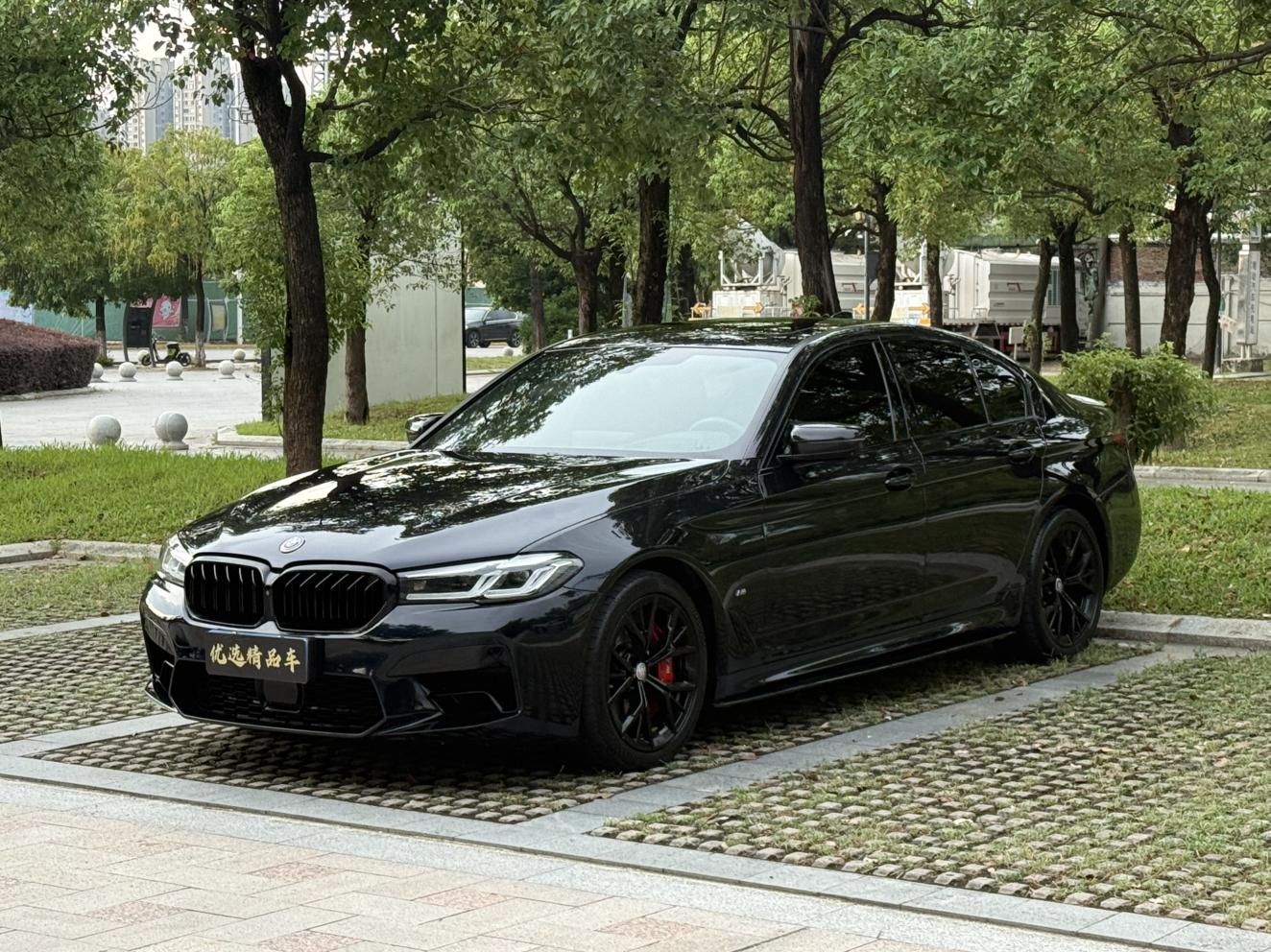 BMW 5 Series M Sport Envy (3L) 2021
