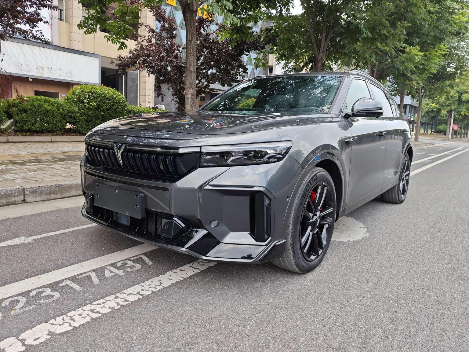 Voyah Free 318 All-Wheel-Drive Explorer 2025