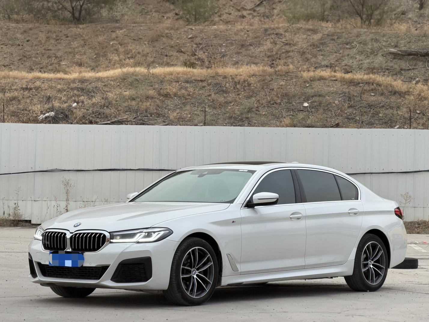 BMW 5 Series M Sport LWB (2L) 2021