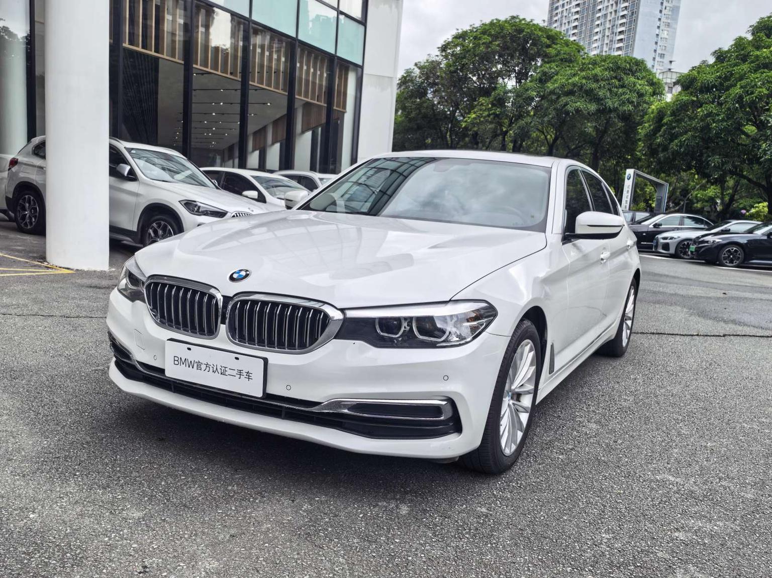 BMW 5 Series Leading Luxury Package (2L) 2019