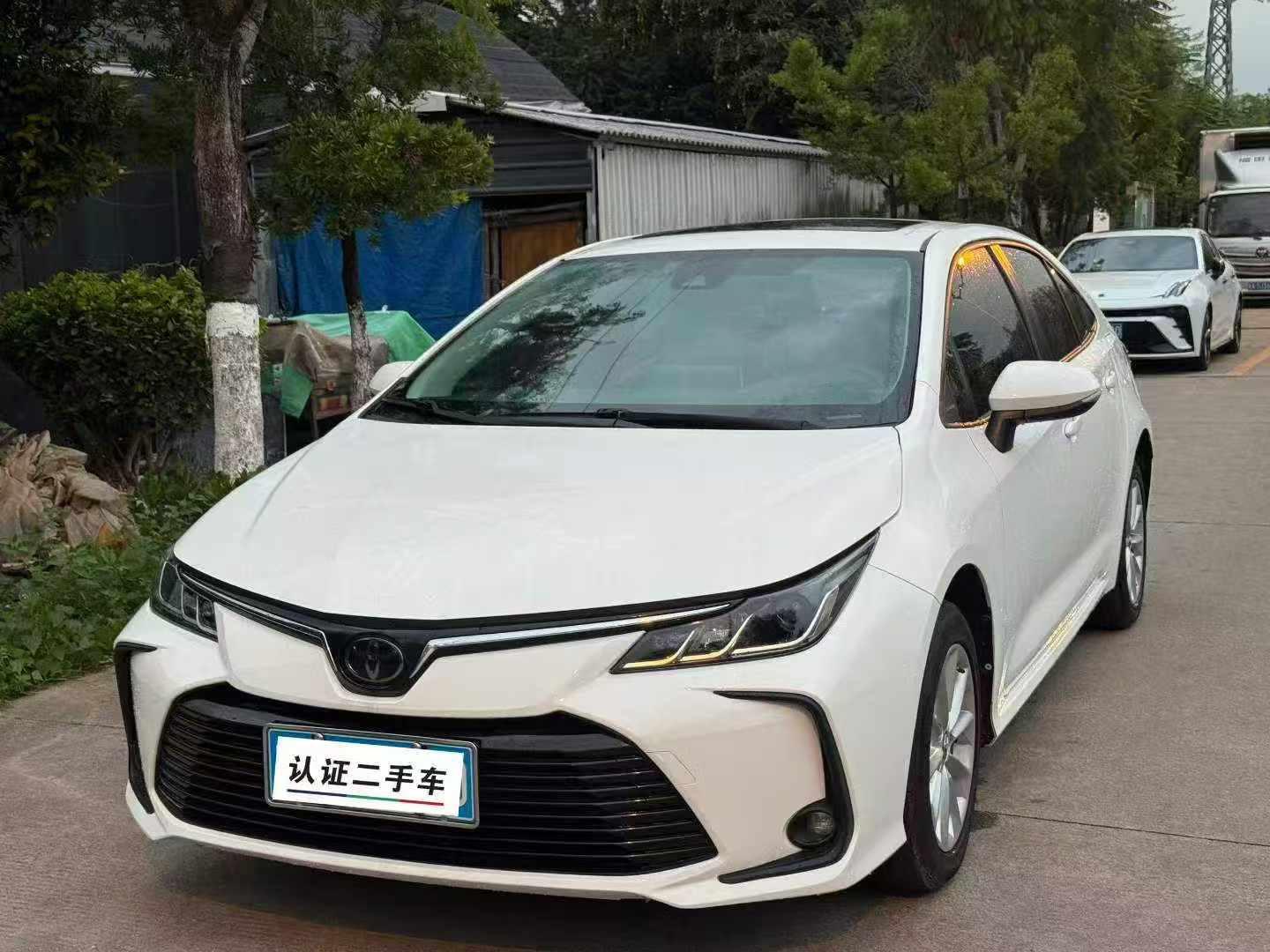 Toyota Corolla Elite Sport 2021
