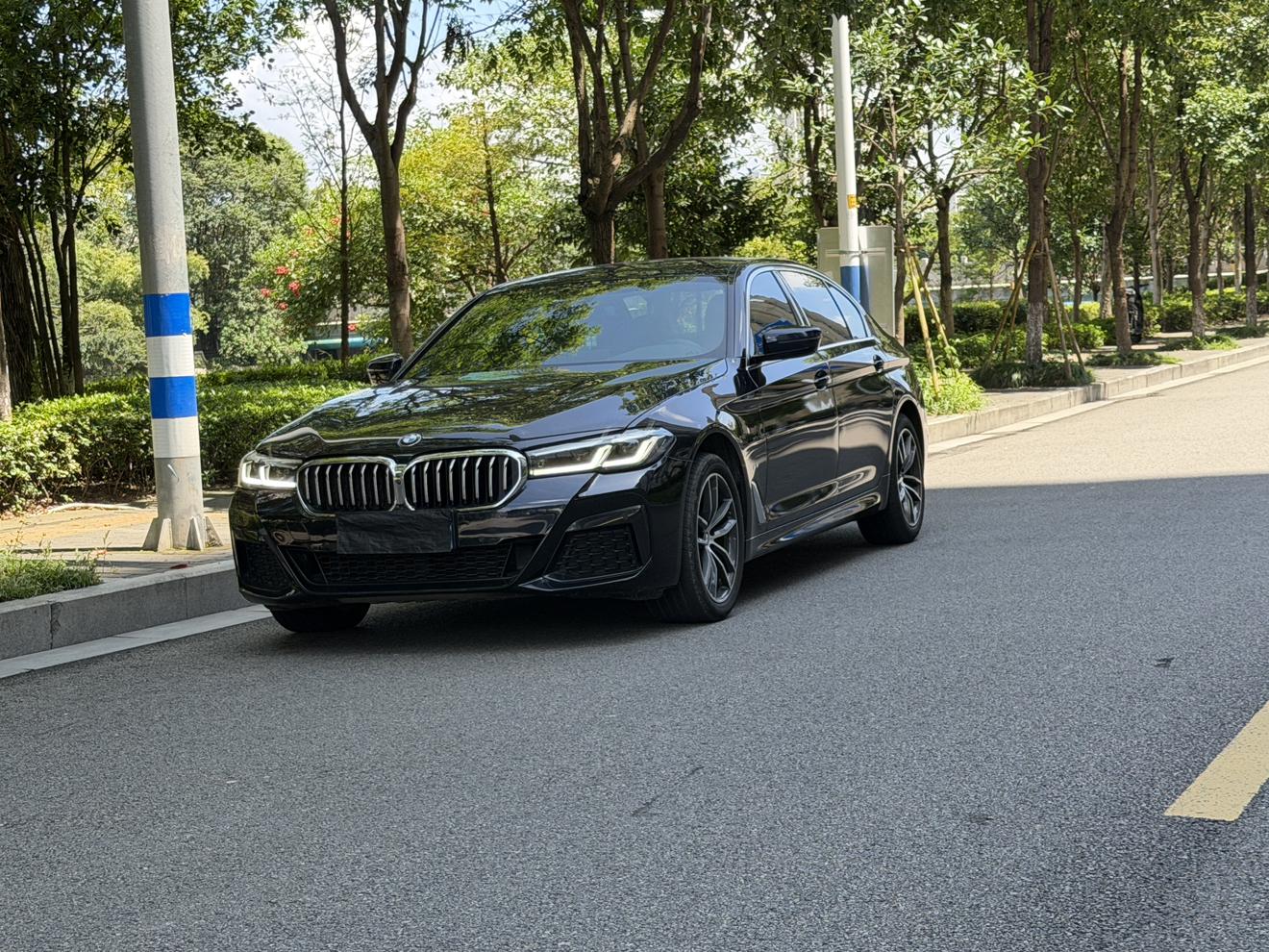 BMW 5 Series M Sport LWB (2L) 2021