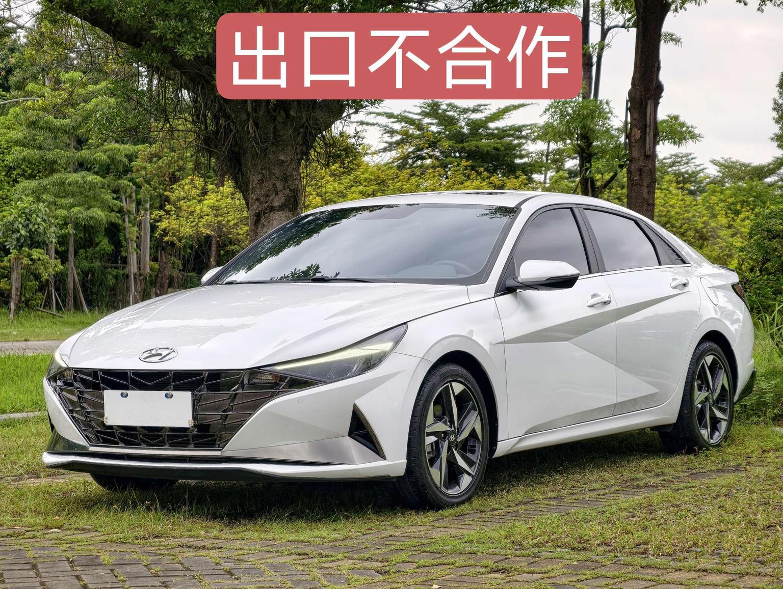 Hyundai Elantra 240TGDi DCT GLX Elite 2022