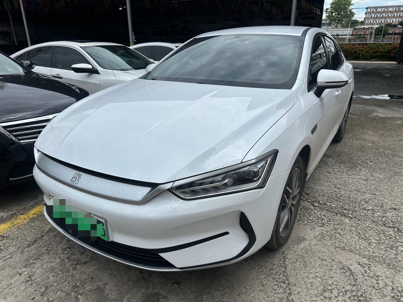 BYD QIN-Plus-EV Glory Leading 510km 2024