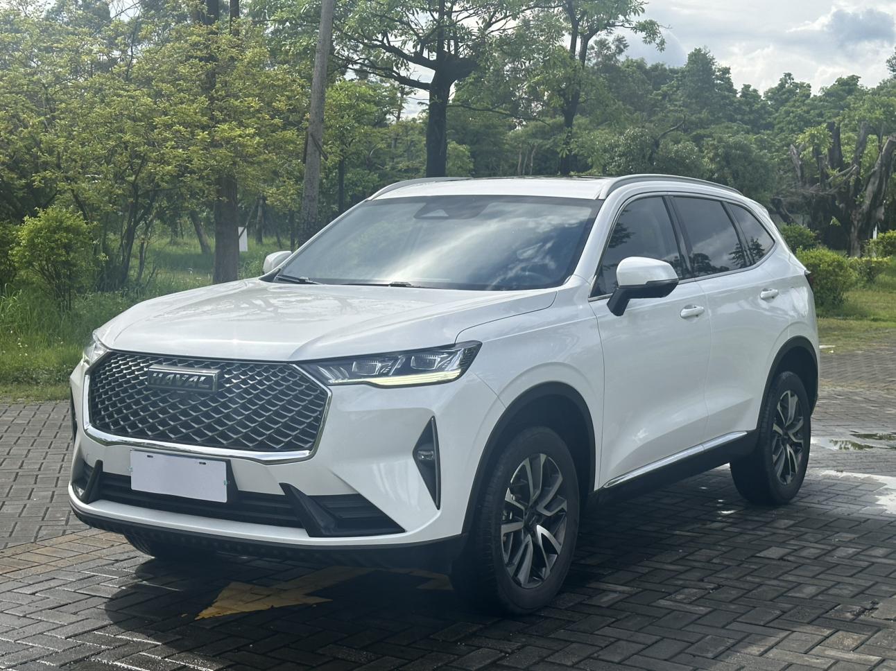 Haval H6 3rd Gen 1.5T Auto 2WD Max 2023