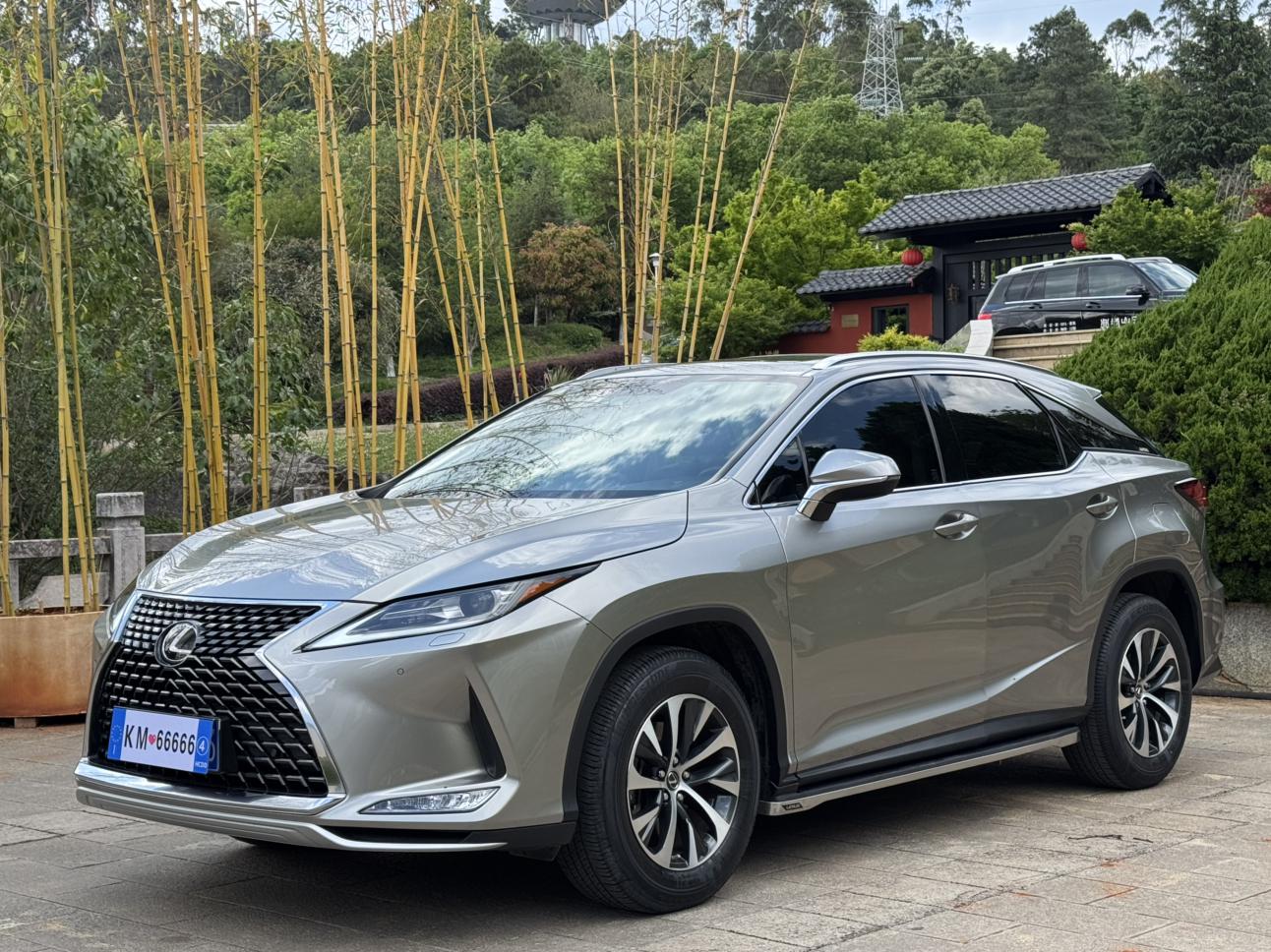 Lexus RX300 300 2WD Elite 2022