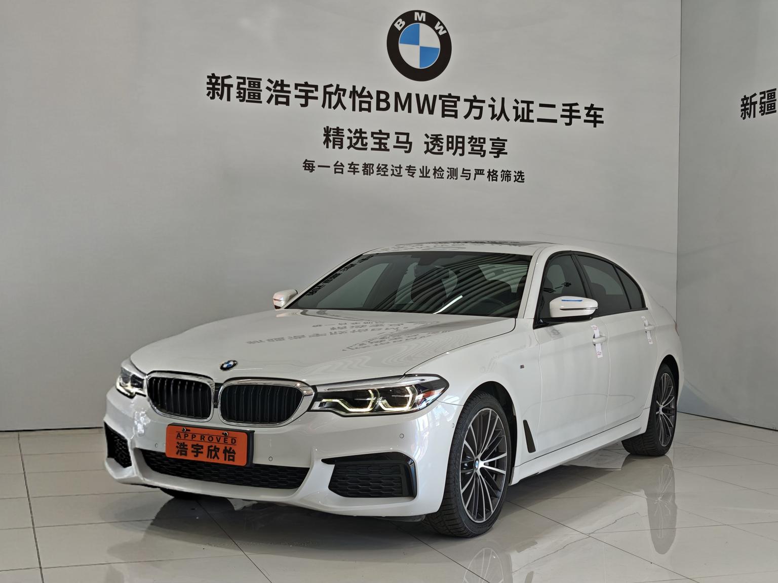 BMW 5 Series Executive M Sport (2L) 2020