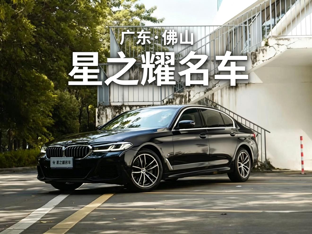 BMW 5 Series M Sport Package (2L) 2021