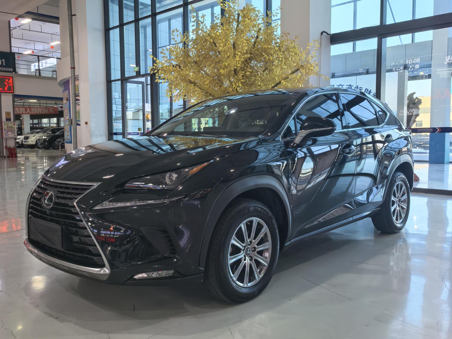 Lexus NX200 FWD Comfort CN6 2021