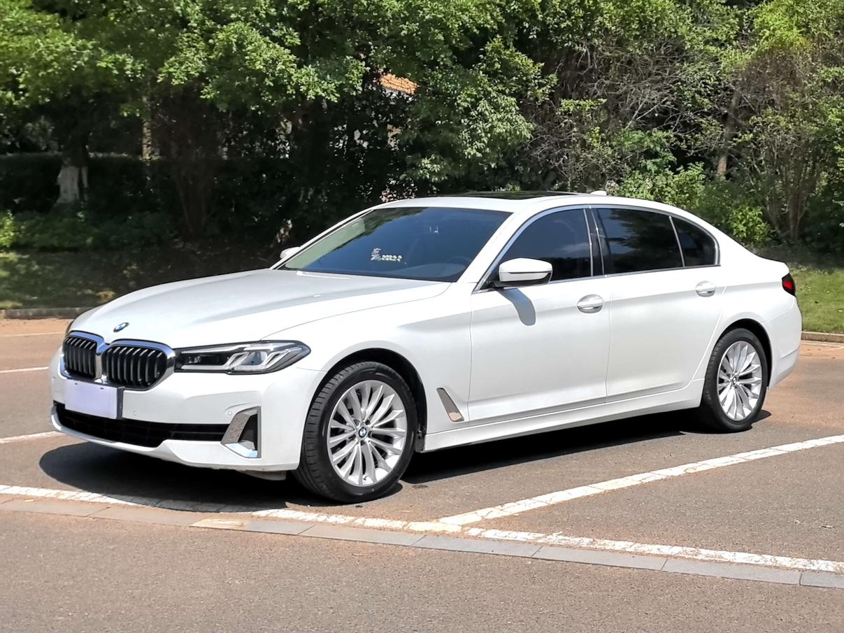 BMW 5 Series Luxury Package (2L) 2021