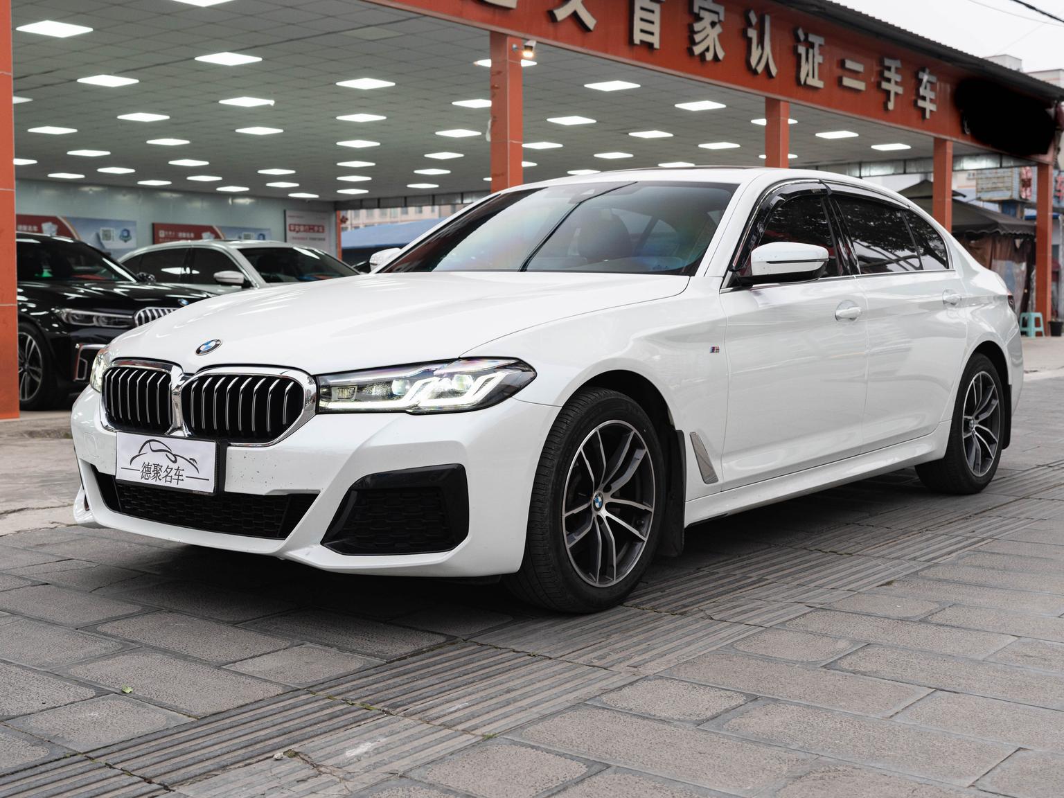 BMW 5 Series M Sport Package (2L) 2021