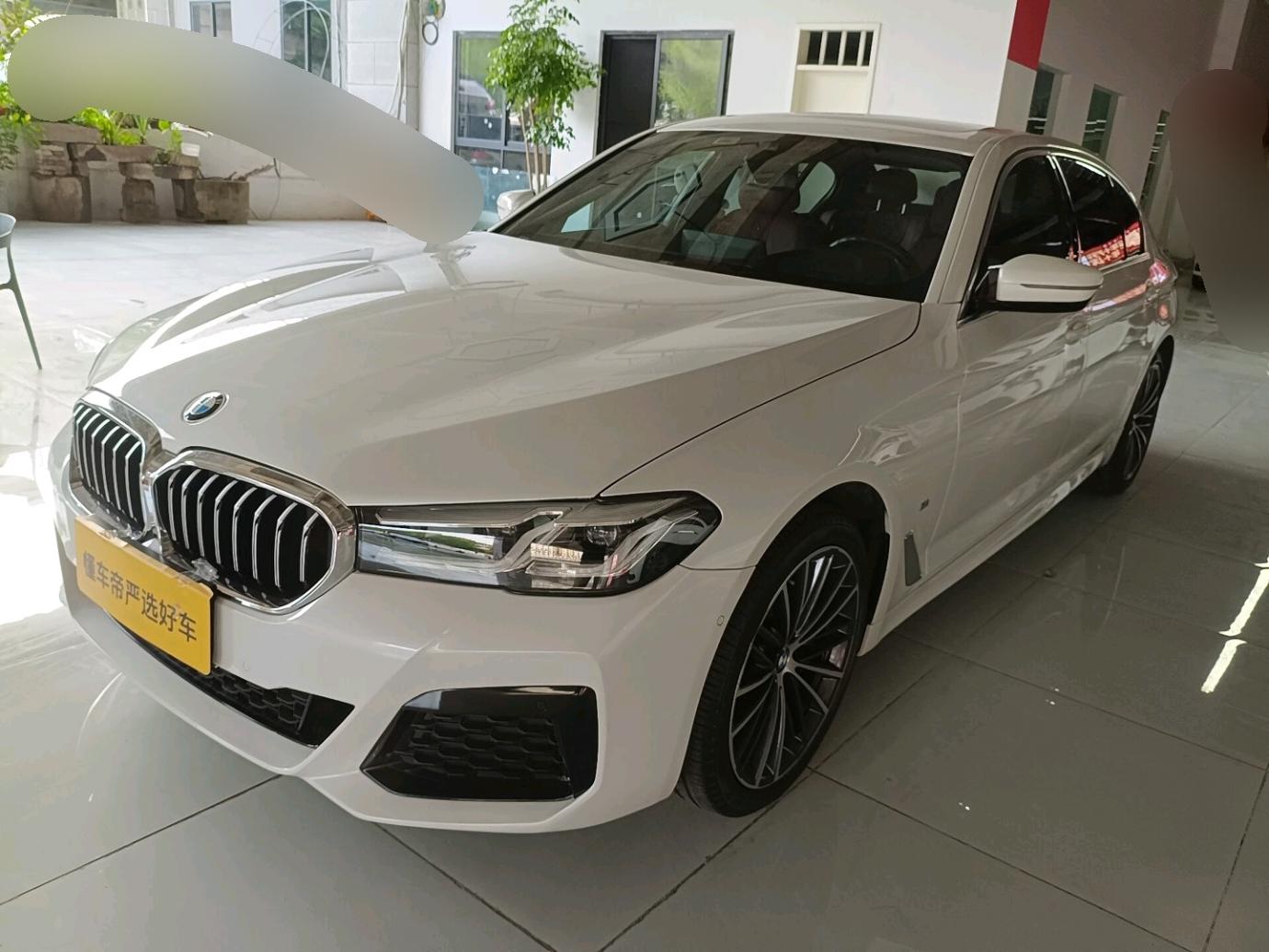 BMW 5 Series Leading M Sport (2L) 2022