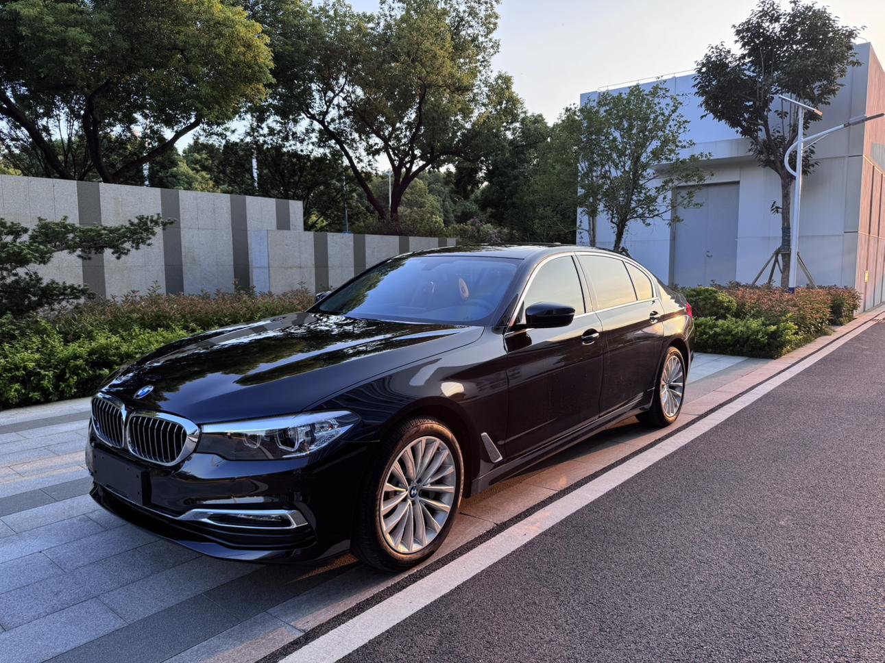BMW 5 Series Leading Luxury Package (2L) 2019