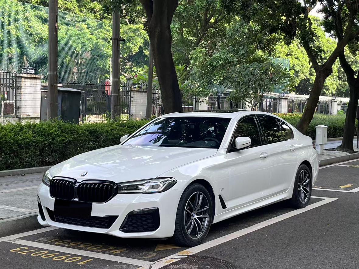 BMW 5 Series M Sport (2L) 2023