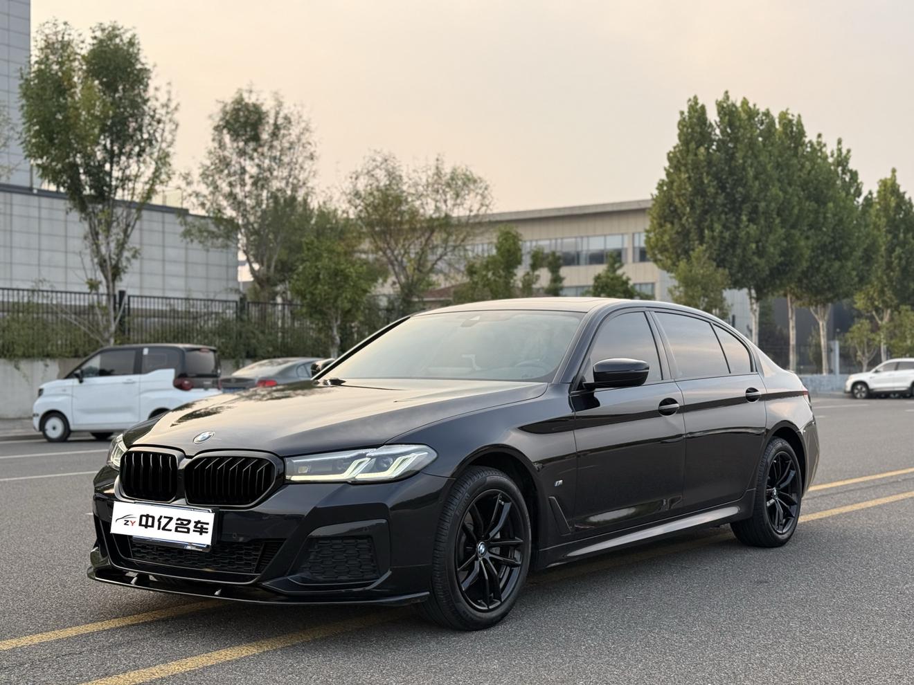 BMW 5 Series M Sport Package (2L) 2021