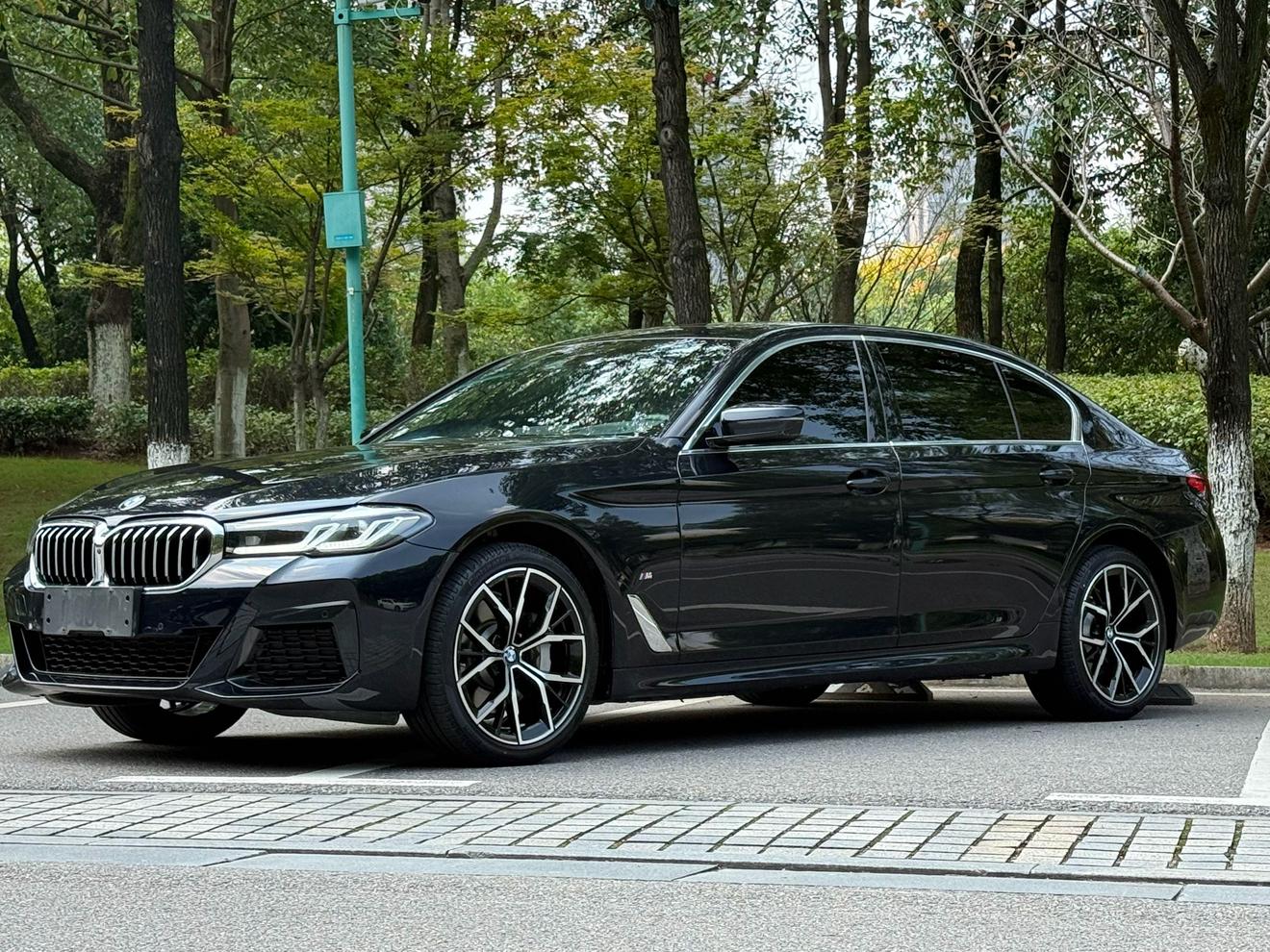 BMW 5 Series Executive M Sport (2L) 2024