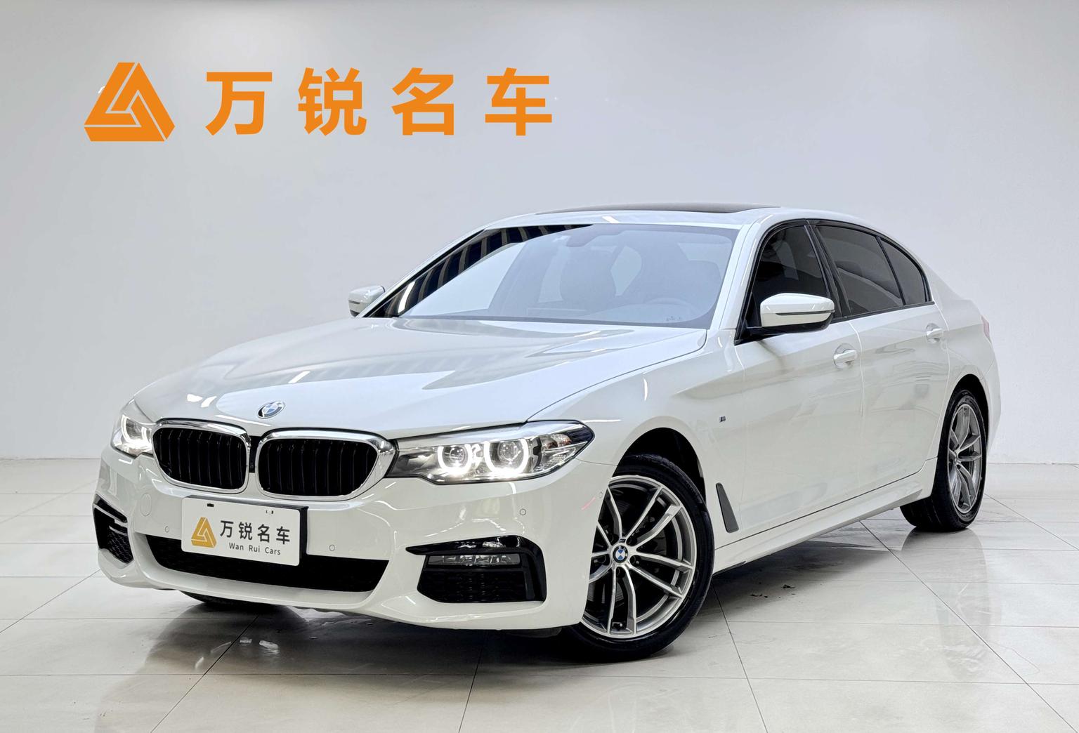 BMW 5 Series M Sport Package (2L) 2019