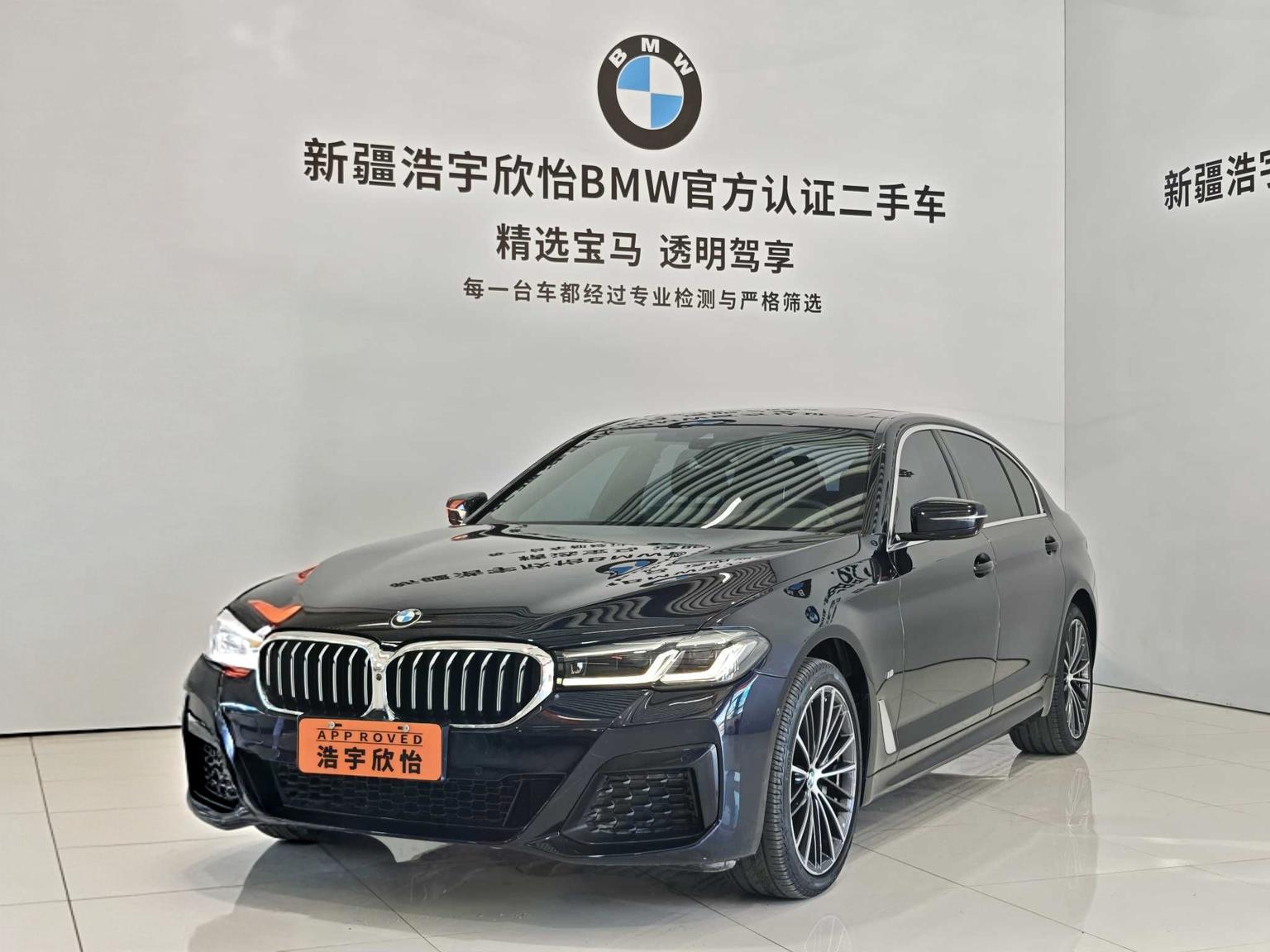 BMW 5 Series Leading M Sport (2L) 2021