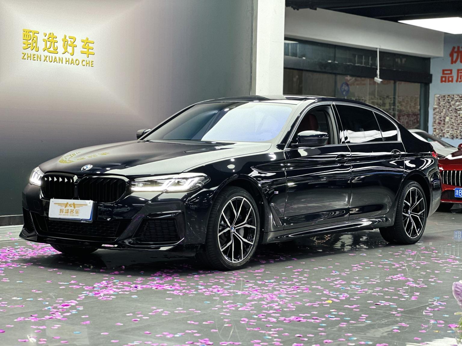 BMW 5 Series Executive M Sport (2L) 2023