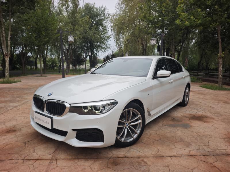 BMW 5 Series M Sport Package (2L) 2020