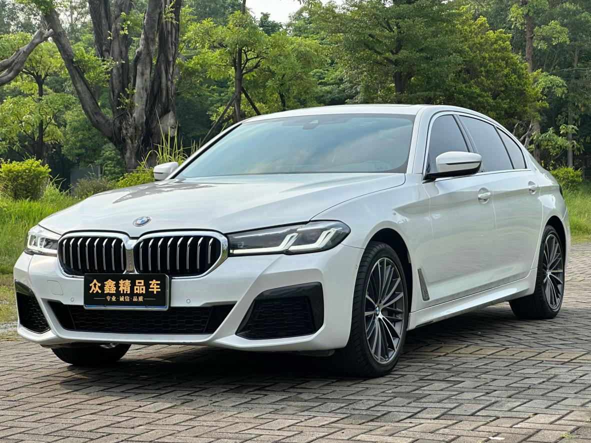 BMW 5 Series Leading M Sport (2L) 2022
