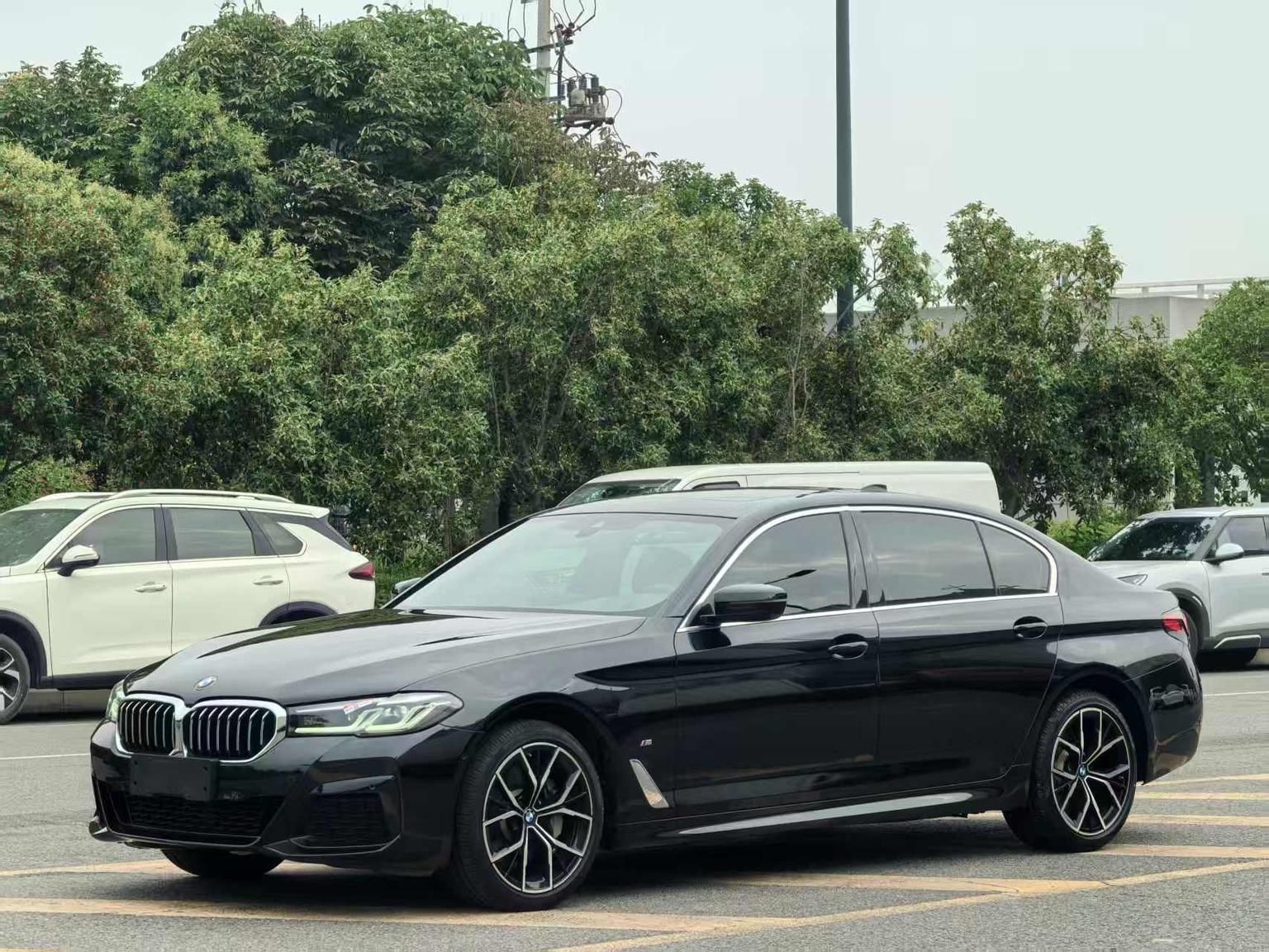 BMW 5 Series 530Li Exclusive M Sport Package 2022