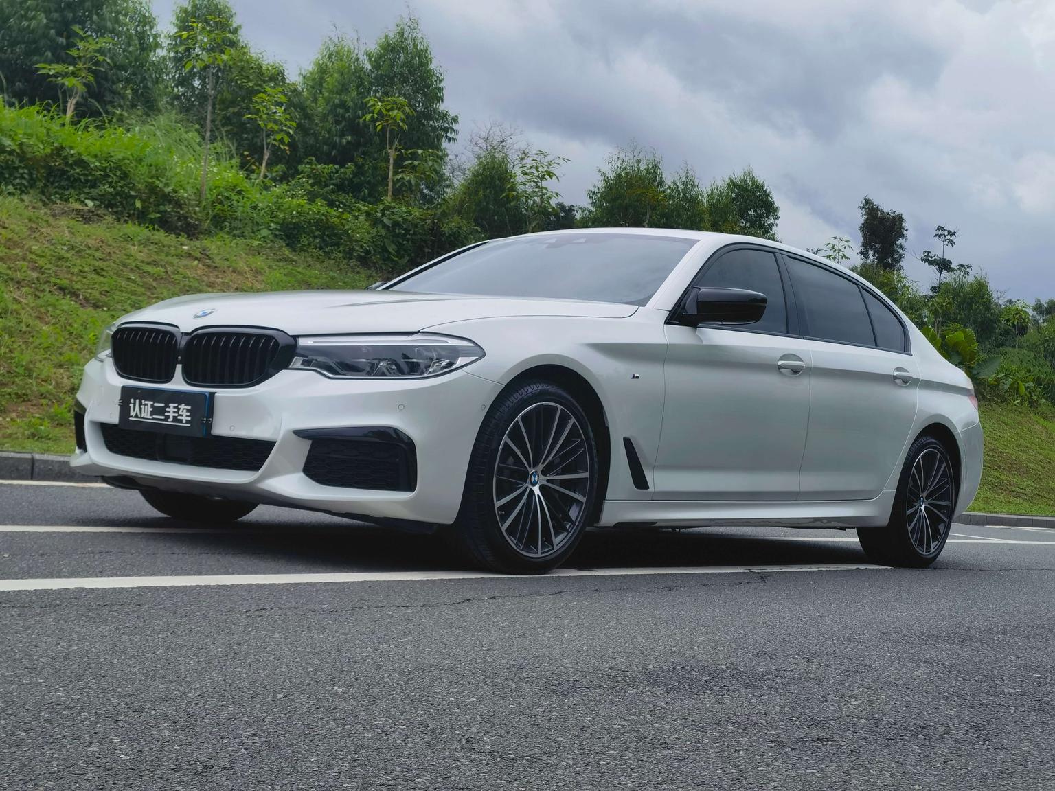 BMW 5 Series Executive M Sport (2L) 2019