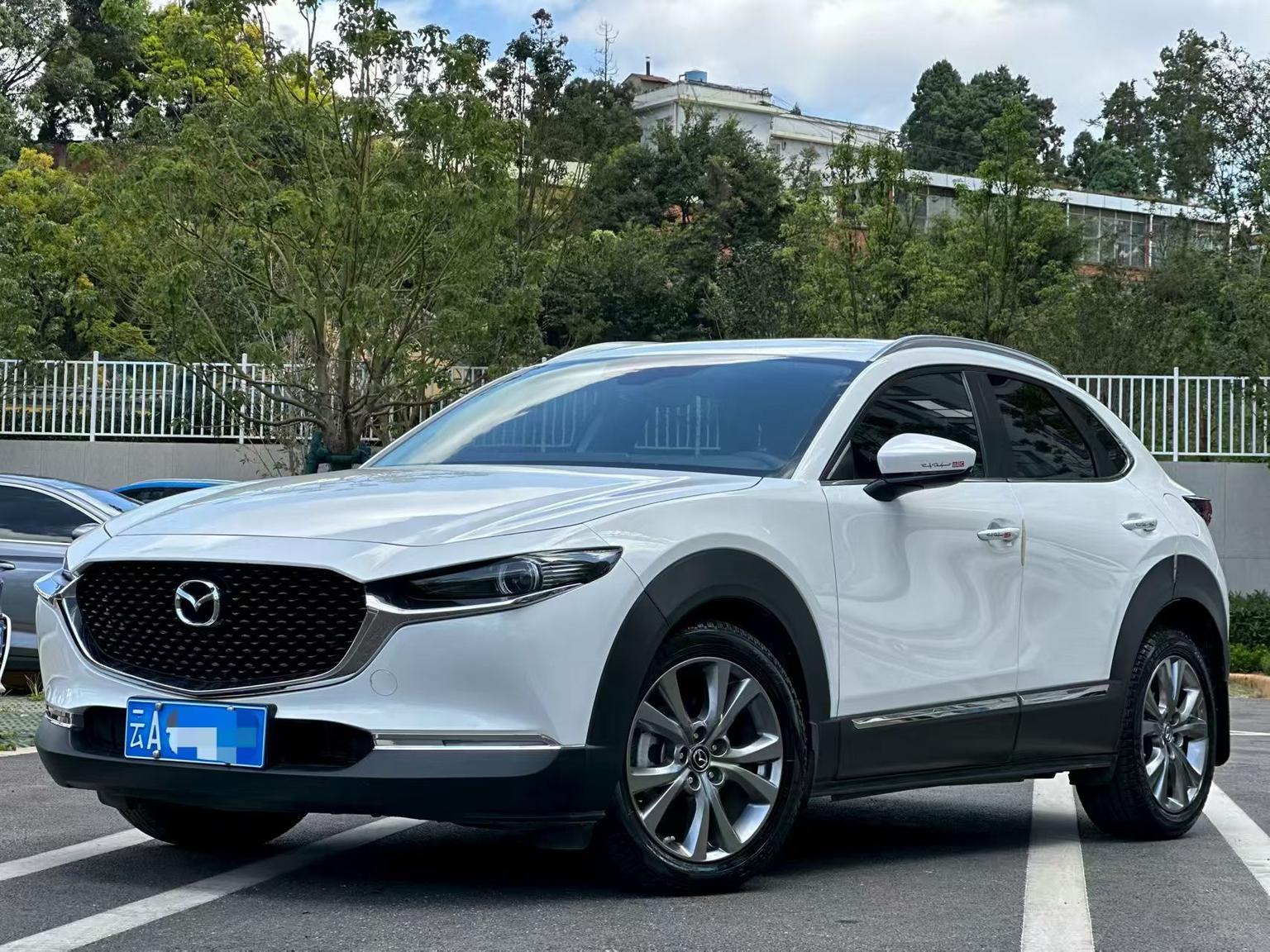 Mazda CX-30 2.0L Auto Elegant Joy (2L) 2021