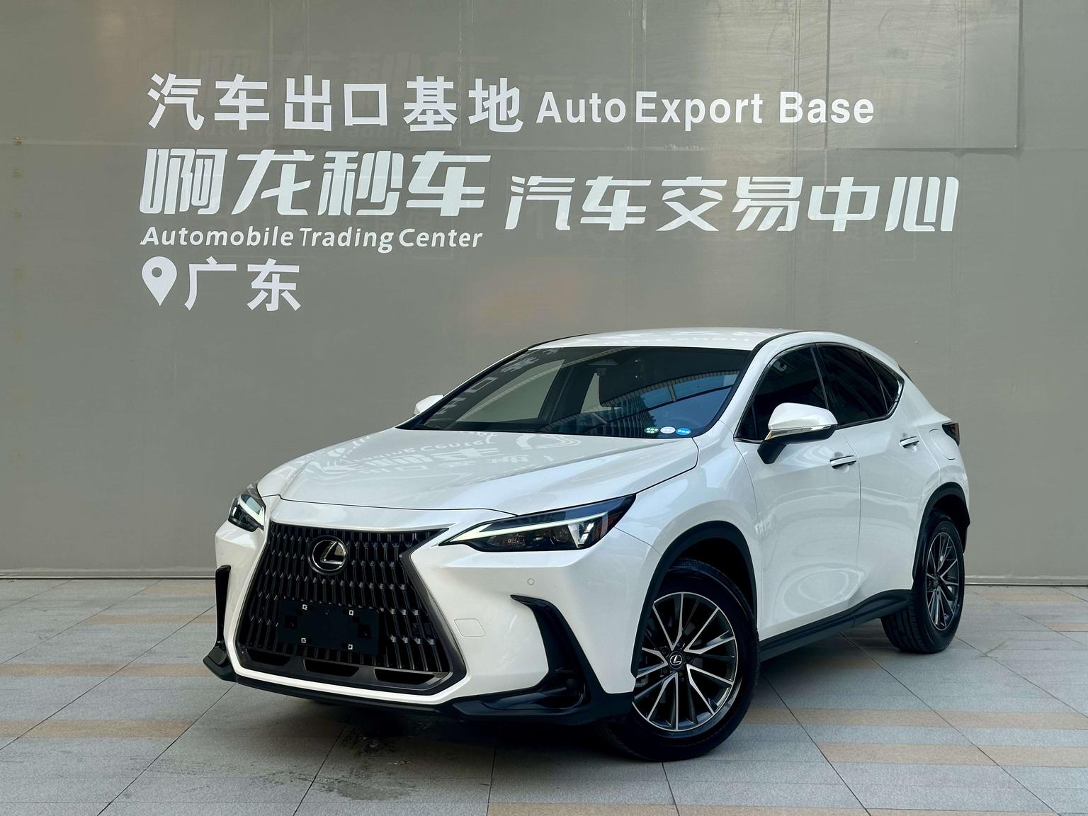 Lexus NX200 260 FWD Drive Edition 2025